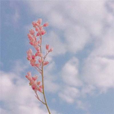 手机最快开奖结果